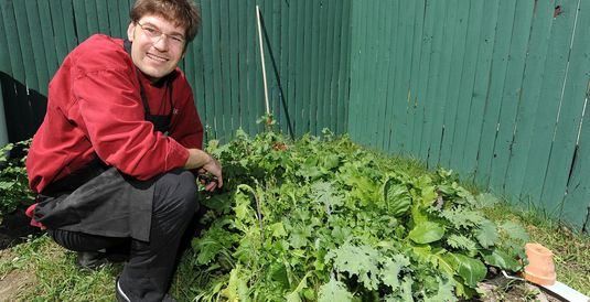Growing Healthy Campers